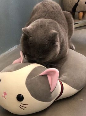 公猫性发泄玩具猫咪发情伴侣宠物玩具性发泄用品宠物抱枕发情期用