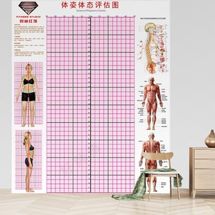 现货体态评估图健身房私教体测姿势校正表瑜伽身体评估表背景墙贴