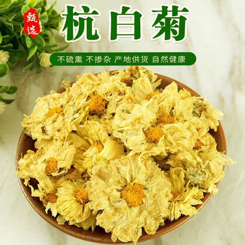 正宗桐乡杭白菊特级正品菊花茶泡茶泡水喝的无硫磺白菊250g旗舰店