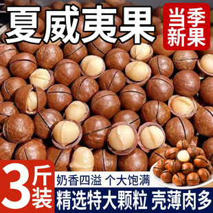 夏威夷果仁奶香味散装坚果果干孕妇休闲零食原味大颗粒坚果零食