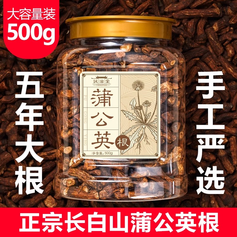 蒲公英根茶500g1斤野生蒲公英茶华花郎根长白山大根粗根罐装天然