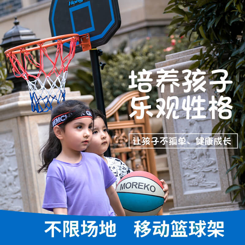 室外篮球架框户外挂式家用篮筐标准蓝球室内儿童投篮可移动扣篮板