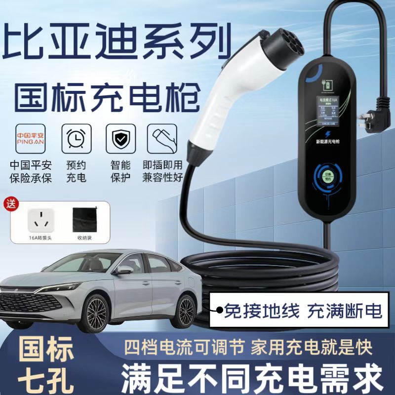 比亚迪海鸥专用充电枪桩豚