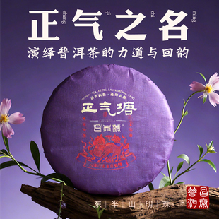 昌泰普洱2022年正气塘生茶普洱茶头春头采古树茶春茶官方旗舰店