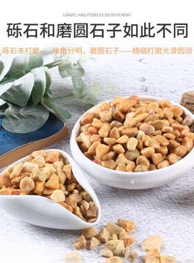 黄色石子铺地水洗石外墙水刷石枯山水造景米粒砾石水磨石石子
