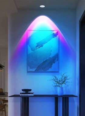 网红新款夕阳红筒灯射灯卧室客厅直播装饰氛围灯蓝紫色嵌入式筒灯