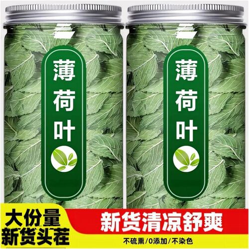 新鲜薄荷叶泡茶薄荷叶干食用干薄荷叶中药材正宗薄荷茶官方旗舰店