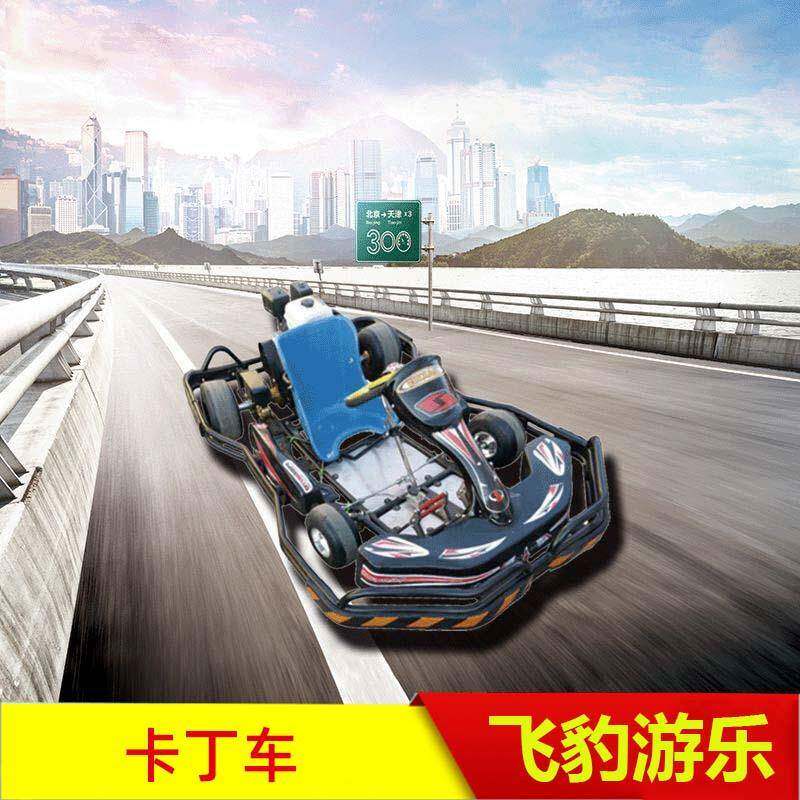 广场竞赛成人电动卡丁车室外游乐设备双人四轮越野儿童汽油卡丁车