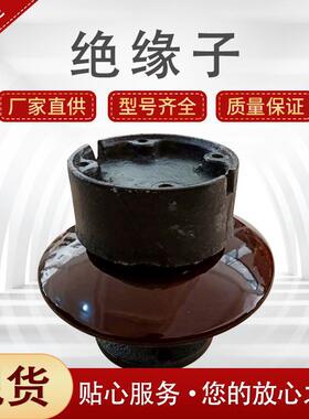 电站用针式支柱绝缘子电解铝厂用电解槽支撑绝缘子ZPD-10ZPD-35