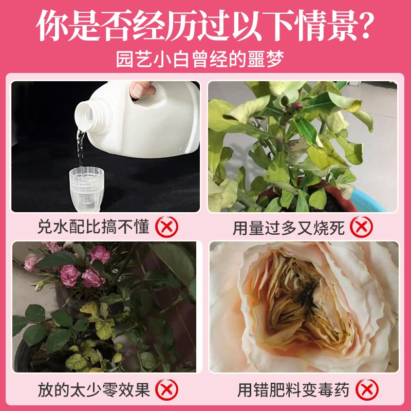 月季花专用肥月季营养液黄叶玫瑰花蔷薇花开花肥料叶面肥盆栽肥
