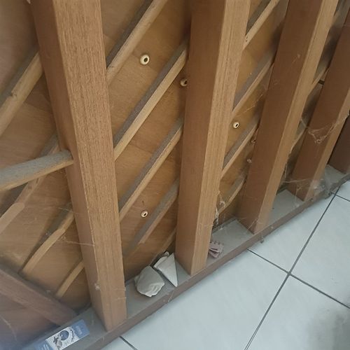 钢琴深度清洁服务 琴背清洁 键盘清洁 琴仓清洁 除尘 擦拭 上光