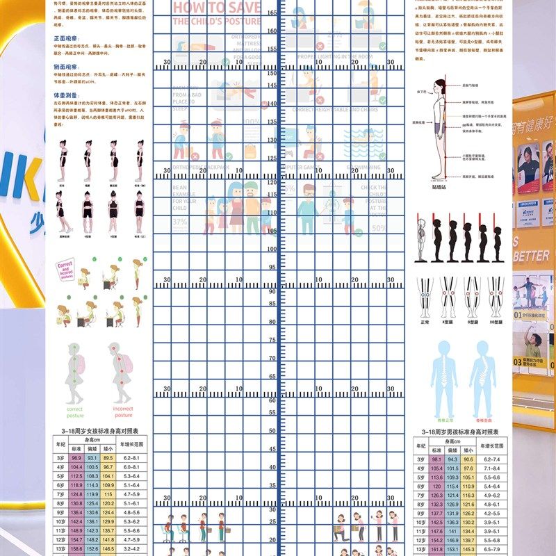 儿童体态评估表墙贴幼儿形体评估图青少年体适能身高体态体测表