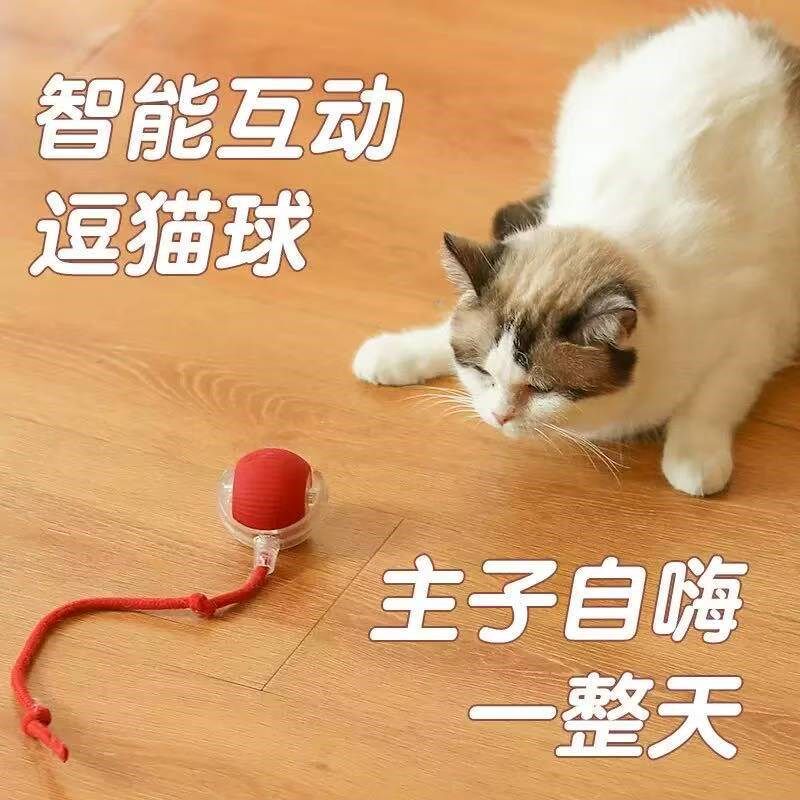 新品猫玩具球电动猫咪玩具狗狗自嗨神器解闷带绳球宠物猫咪玩具球