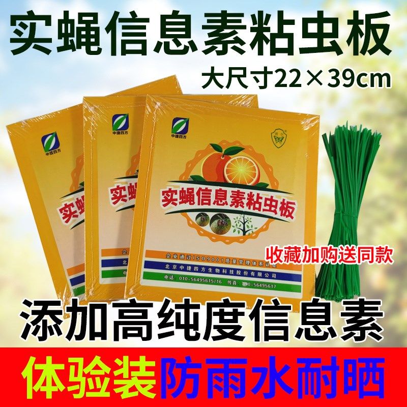 果蝇贴昆虫信息素粘虫板双面黄板果园实蝇粘胶板农用诱虫针蜂贴