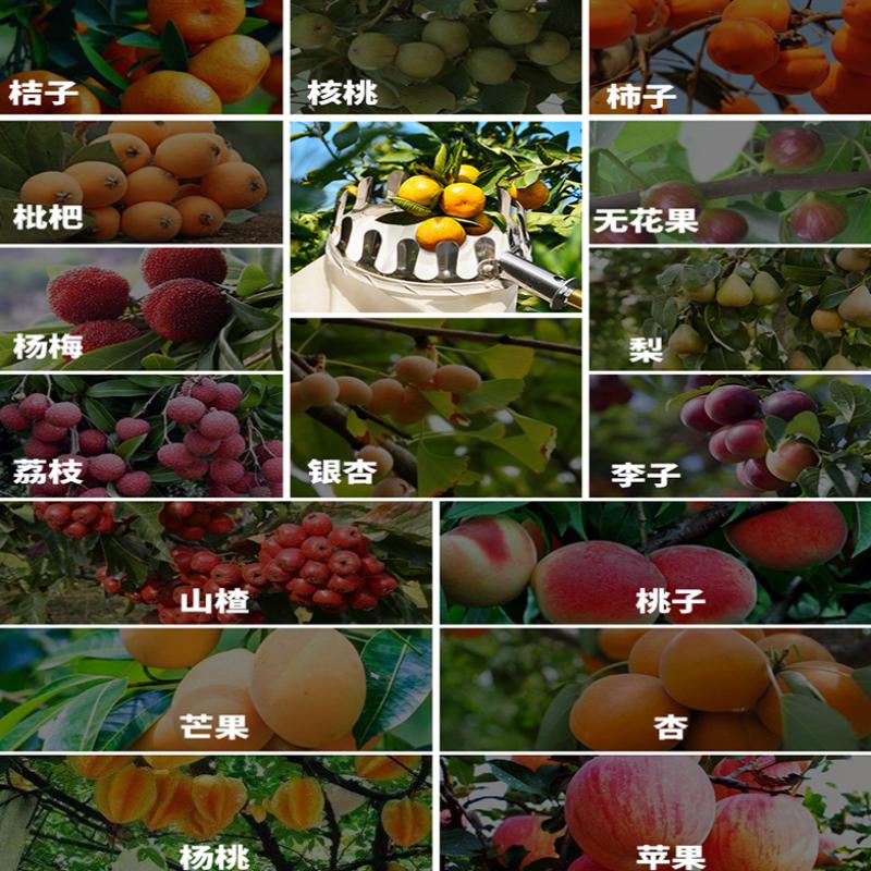 粗枝黄皮摘果神器高空枝头摘果器摘龙眼荔枝工具电动伸缩多功能