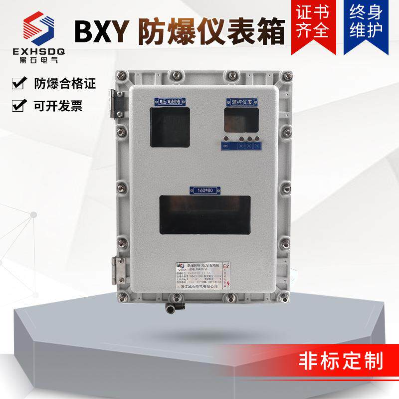 防爆仪表箱非标防爆仪表箱防爆表箱中石油防爆箱