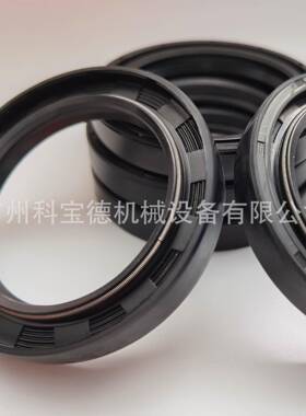 65377双面弹簧油封液压马达油封STAFFA用油封骨架油封