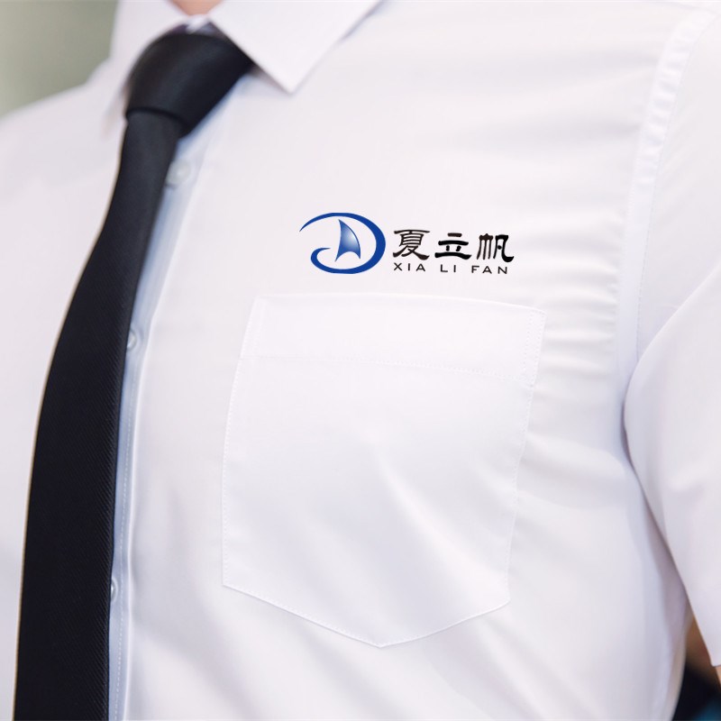 定制工作服衬衫工装集团公司职业装4S店地产物业管理衬衣印绣LOGO