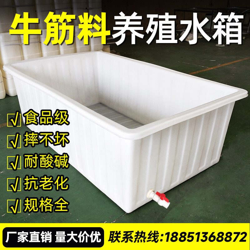 大号加厚牛筋塑料水箱长方形储水桶水产养殖方桶养鱼卖鱼牛筋浅盆,家庭/个人清洁工具,水桶,淘宝优惠券,粉丝福利购,淘宝优惠卷