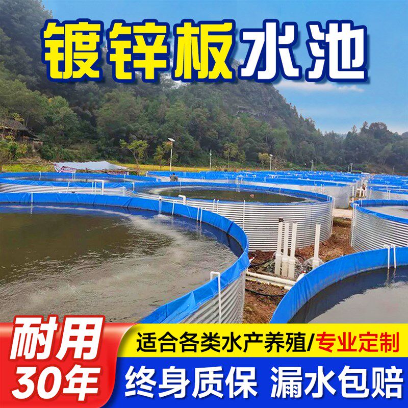 镀锌板帆布鱼池农用大型帆布蓄水池家用新游泳池室外高密度养殖池