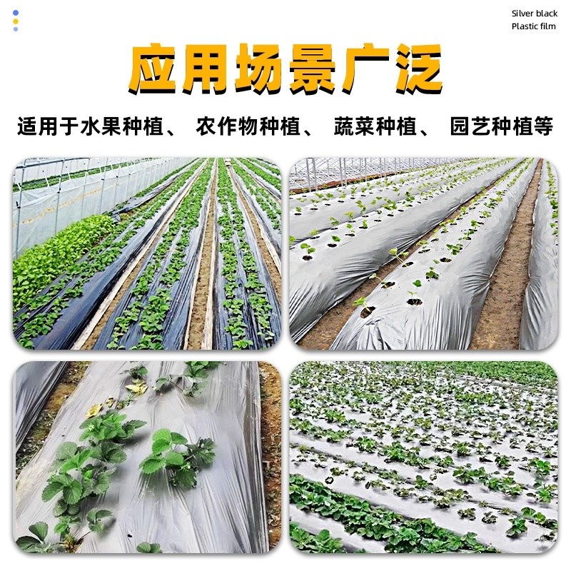 银黑双色地膜反光地膜农用种植加厚塑料薄膜种菜专用蔬菜除草黑色