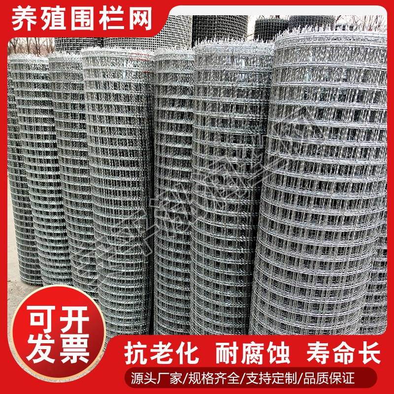 热镀锌钢丝网轧花编织网羊床漏粪钢丝网筛网养殖围栏网铁丝围网