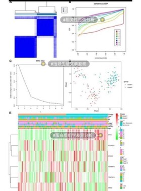 单细胞测序转录组TCGA GEO数据库挖掘分析