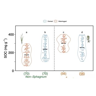 生信分析单细胞测序TCGA/GEO公共数据库挖掘