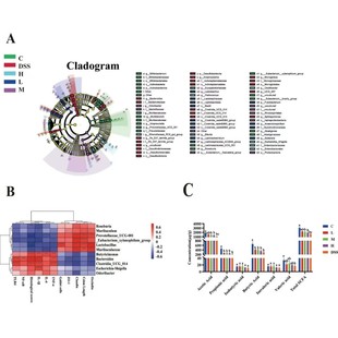 30个matlab神经网络案例分析说明源码BP遗传算法分类器RBF回归