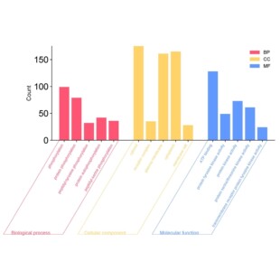 网络药理学，GO富集分析图和KEGG富集分析气泡图/横向纵向柱状图