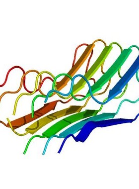 蛋白蛋白分子对接DS分析MD分子动力学分析PDB构建