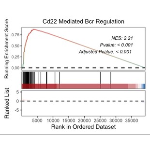 生信分析机器学习 Lasso回归分析 富集分析 随机森林分析 GO/KEGG