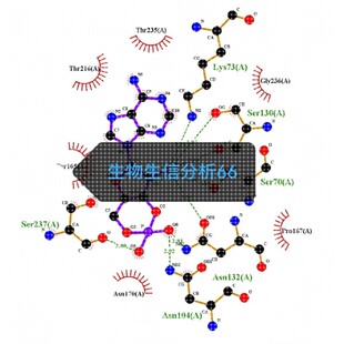 分子对接二维三维可视化作图