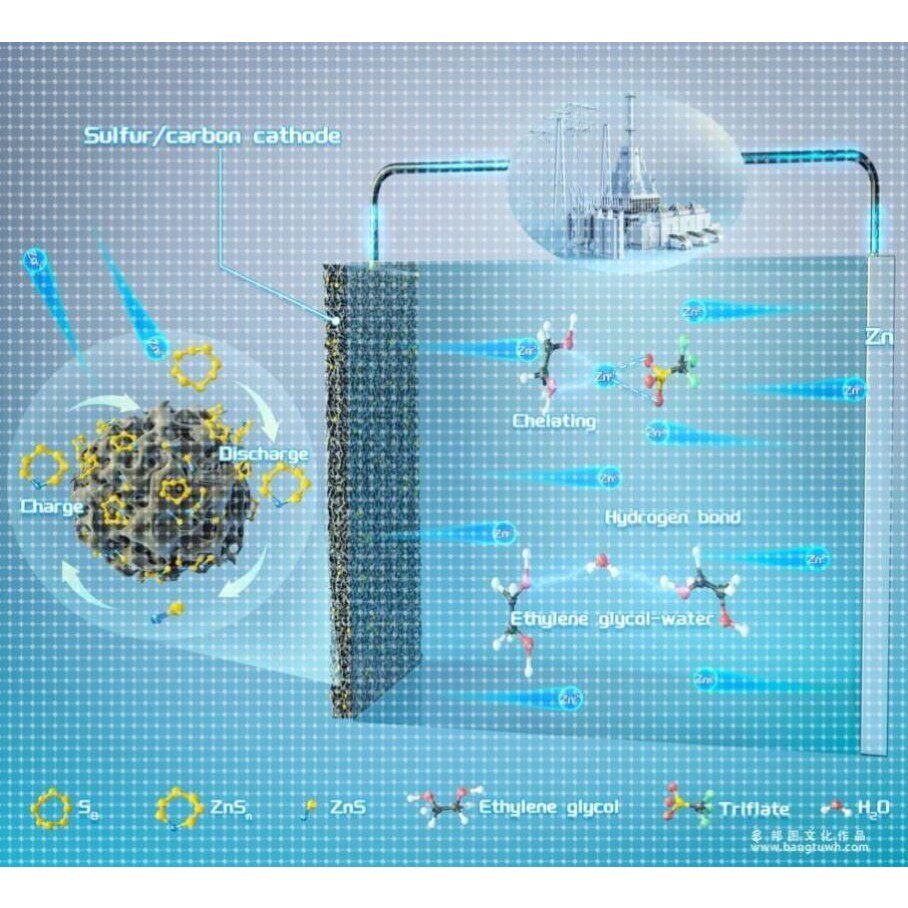 3dmax科研绘图国外SCI学术杂志封面配图美化生物医学动画插画设计