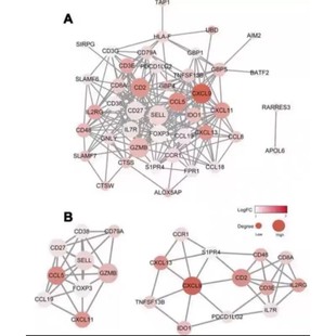 生物信息学 生信分析 基础医学科研动物细胞肿瘤疾病实验外包定制