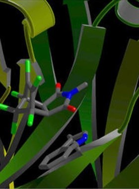 分子动力学计算服务 蛋白结构优化 分子模拟 药物设计 CADD