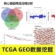 生信分析代做单细胞转录组测序TCGA GEO数据挖掘网络药理学服务