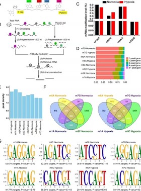 深度学习/机器学习/python/图像识别/自然语言/机器人仿真/matlab