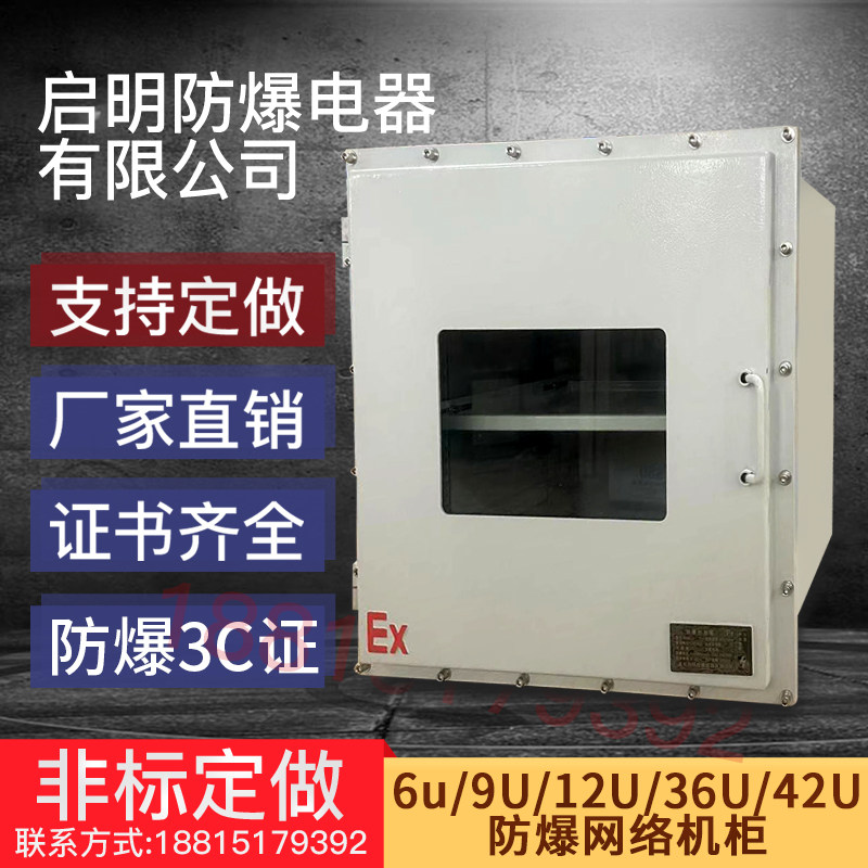 防爆网络机柜防爆机柜防爆6U柜9U4H2U柜防爆正压柜防爆交换机