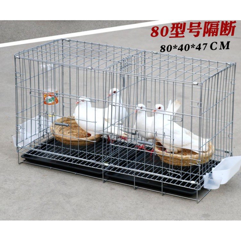 鸽子笼大号家用配对养殖笼鸽子用品用具家用鸡笼大号
