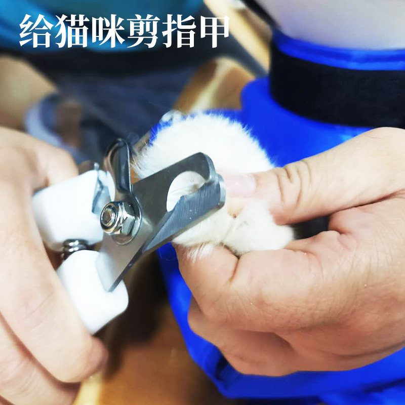 犬猫用保定包打针输液剪指甲结实耐用多功能护理袋防抓固定掏耳朵