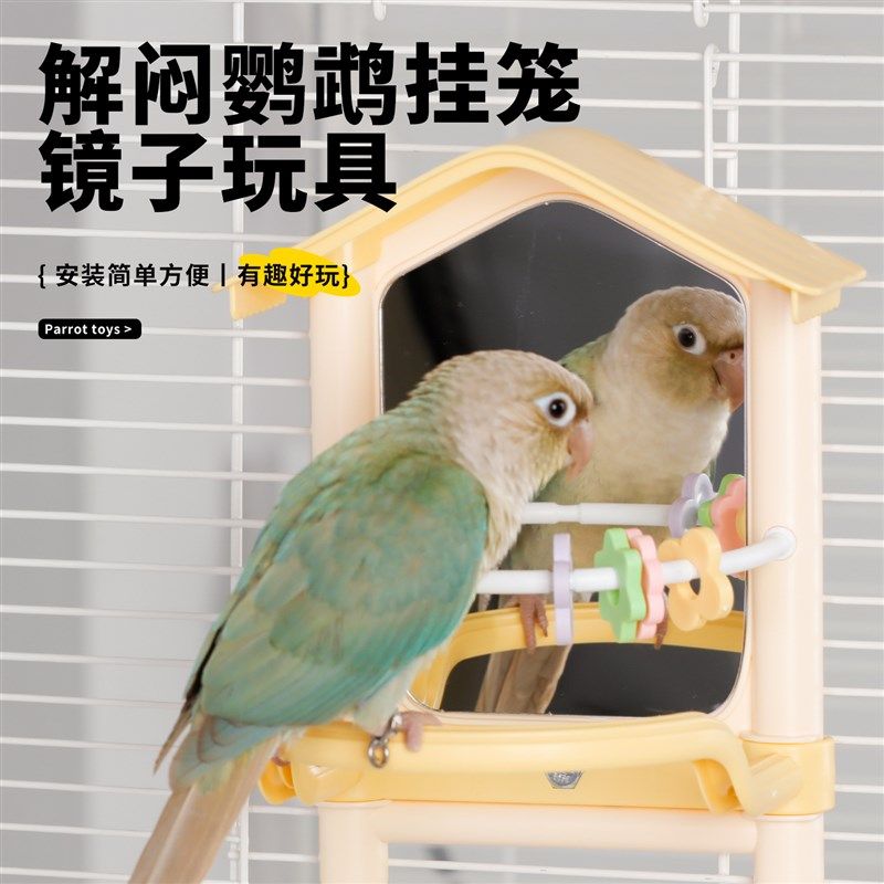鹦鹉专用镜子新型玩具解闷自嗨益智玄凤虎皮牡丹鸟站杆Z架笼内装,宠物/宠物食品及用品,鸟玩具,淘宝优惠券,粉丝福利购,淘宝优惠卷