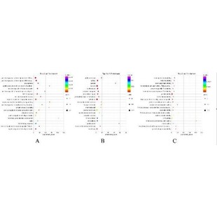生信分析网络药理学孟德尔随机化MR实验外包火山图绘制
