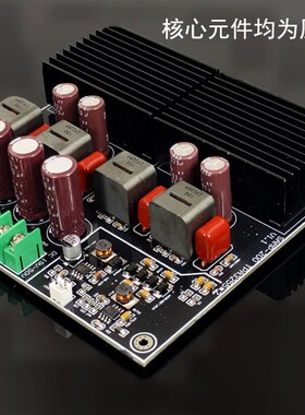 SAMP-200 双核心TPA3255 发烧大功率2声道 功放板 600W+600W