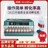 德国进口 高孵化率 威振小型家用全自动水床孵化器迷你孵化机小