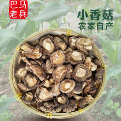 速发广西巴马小香菇干货500g包邮一斤农家特产天然散装蘑菇冬菇包