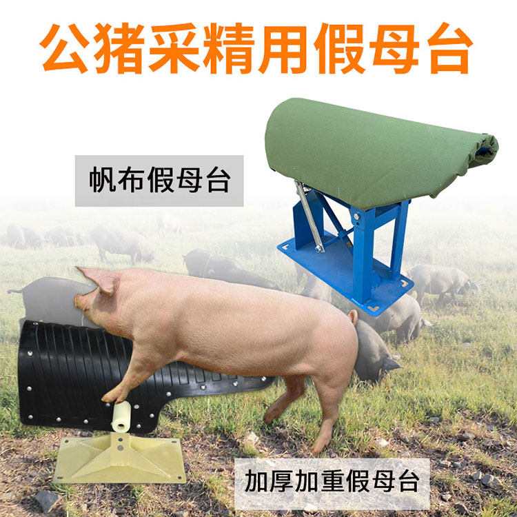 加重猪用假母台公猪采精r设备人工授精采精架母猪台加厚帆布假猪