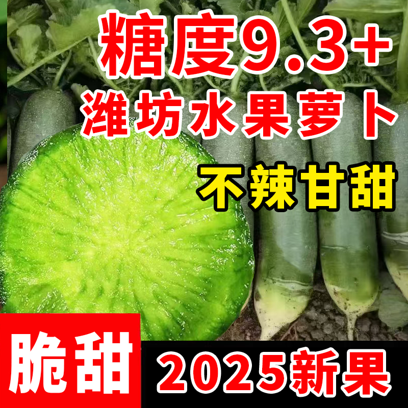 山东潍坊水果萝卜正宗潍县特产青冰激凌萝卜生吃新鲜农家产地直发