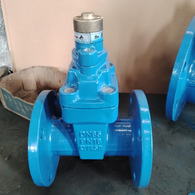 直销厂家供应明杆软密封闸阀Z41X-16Q DN200 QT450球墨铸铁法兰闸