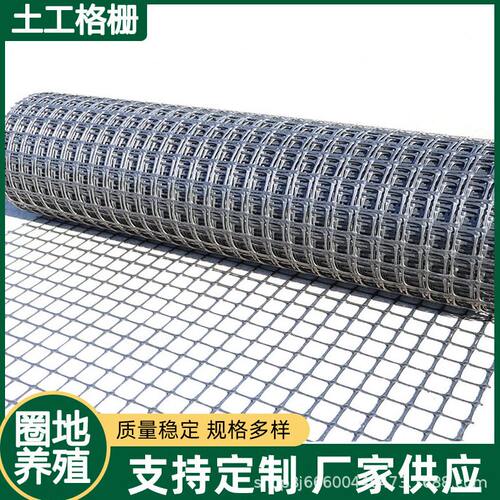 定制养鸡塑料网格围栏网家用玉米养殖网鱼塘防护栅栏土工格栅